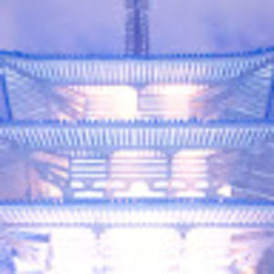 Meet your Posher, Anja